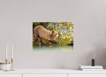 Momma on a Mission Nature Photography Print