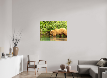 Fishing Takes Patience Nature Photography Print