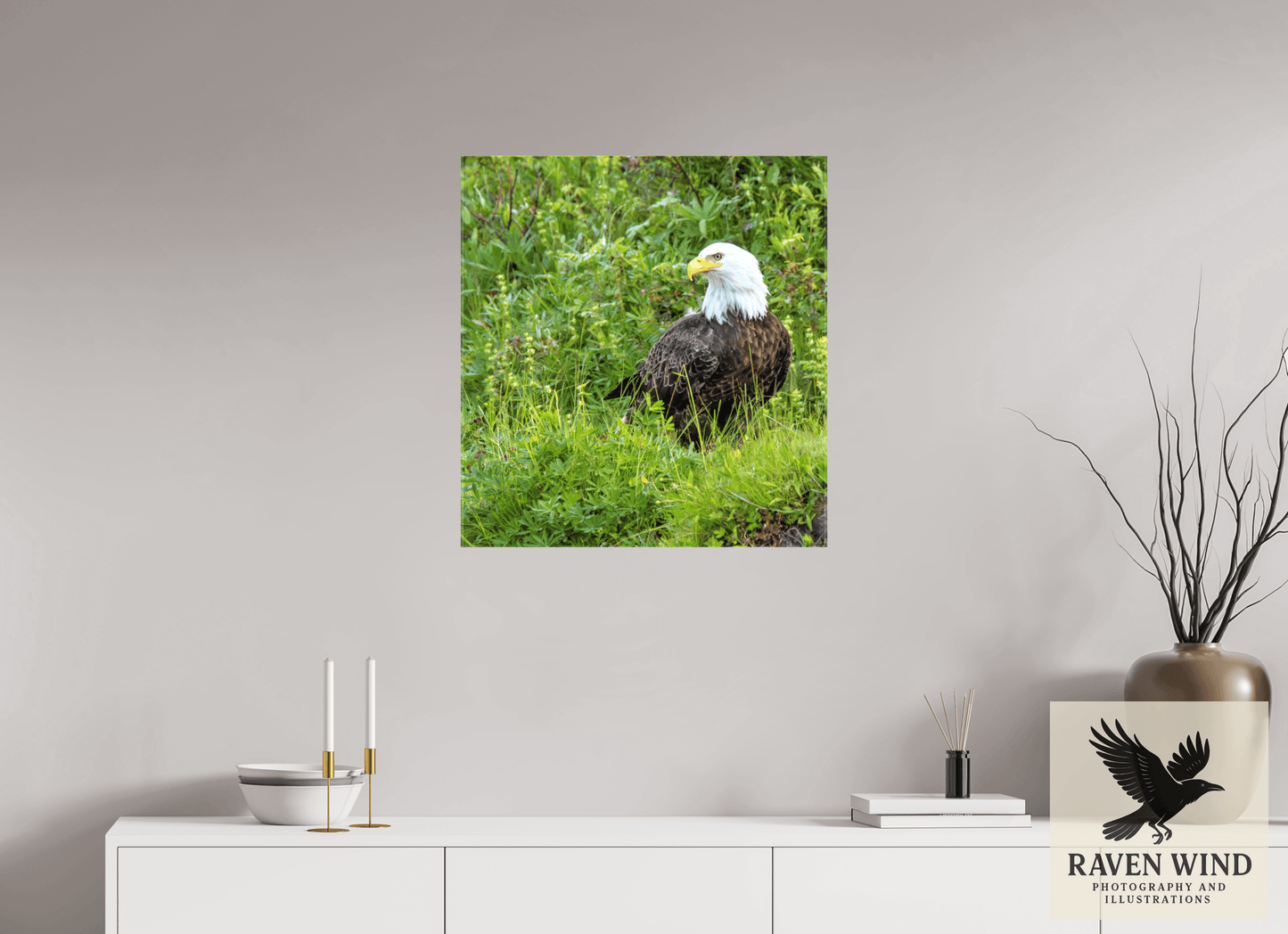 24 x 25.7″, Print on Canvas - ready to hang or set on a shelf Grounded Majesty - Alaskan Bald Eagle Nature Photography Print