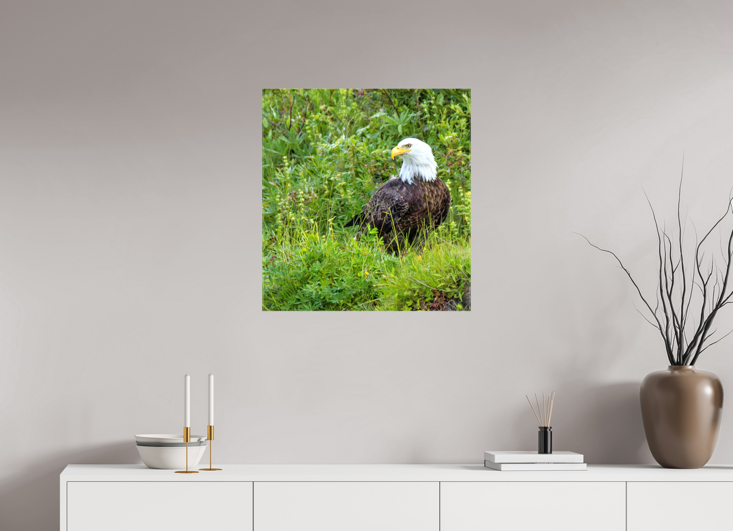 Grounded Majesty – Bald Eagle in Alaska’s Wilderness Nature Photography Print