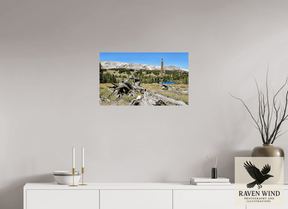 26.8 x 16″, Fine Art Print on Pearl Texture - unframed (email for frame options) Standing Bear Tree - Bear Lake, Colorado Nature Photography Print