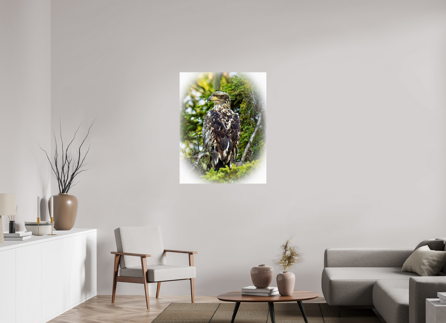 Forest Watch – Young Eagle Among the Pines Nature Photography Print