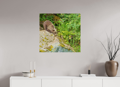 Learning the Ropes Nature Photography Print