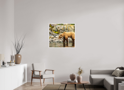 Looking for Dinner Nature Photography Print
