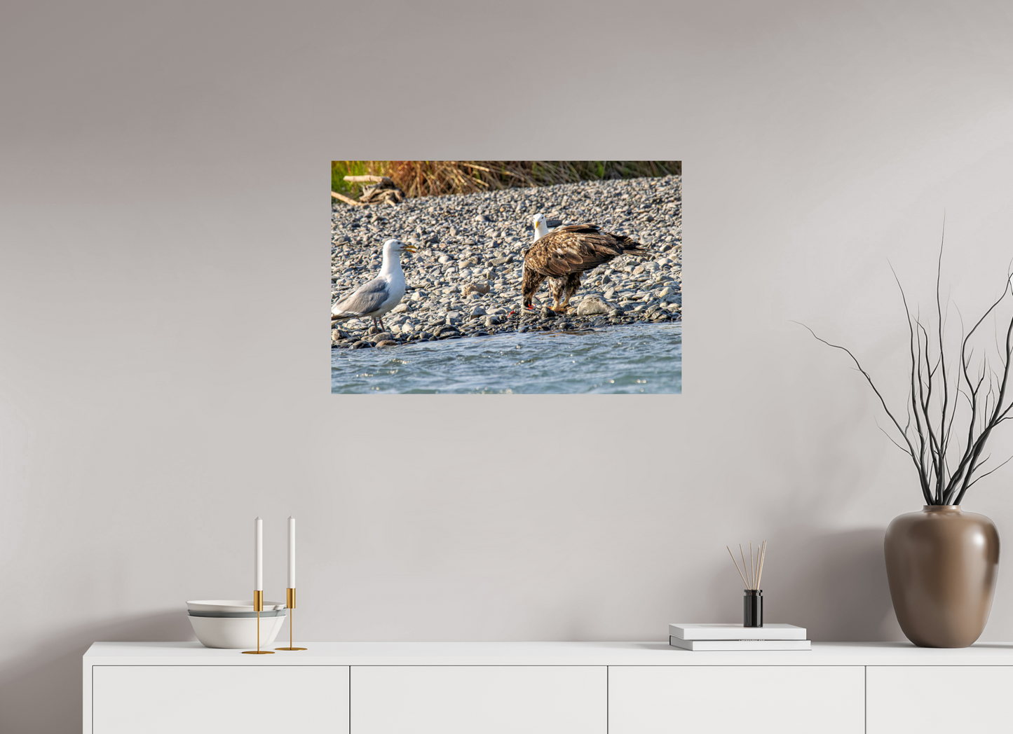 Mine? Mine? – Bald Eagle and Seagull Shoreline Standoff Nature Photography Print