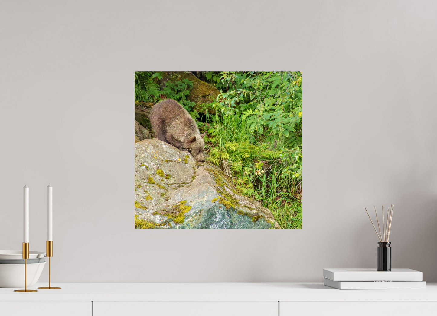 Learning the Ropes Nature Photography Print