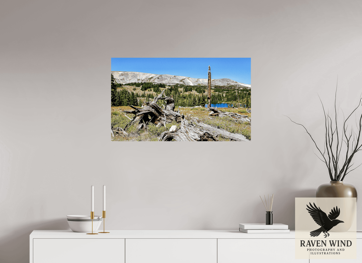 33.5 x 20″, ChromaLuxe HD Metal Print - ready to hang Standing Bear Tree - Bear Lake, Colorado Nature Photography Print