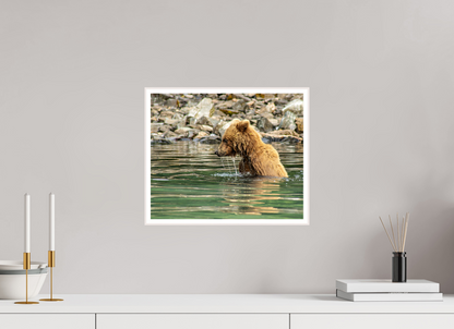 Eye on the Prize Nature Photography Print