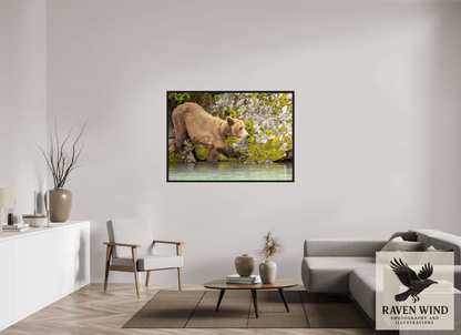 55.4 x 39″, Floater Frame - black oak frame - ready to hang Momma on a Mission Nature Photography Print