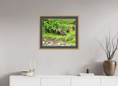 Brown Bear Triplets