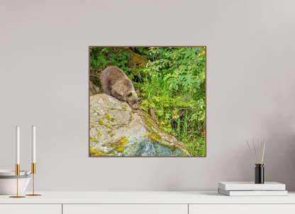 Learning the Ropes Nature Photography Print
