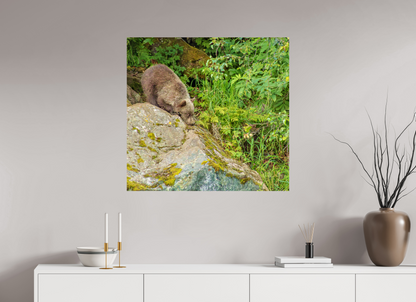 Learning the Ropes Nature Photography Print