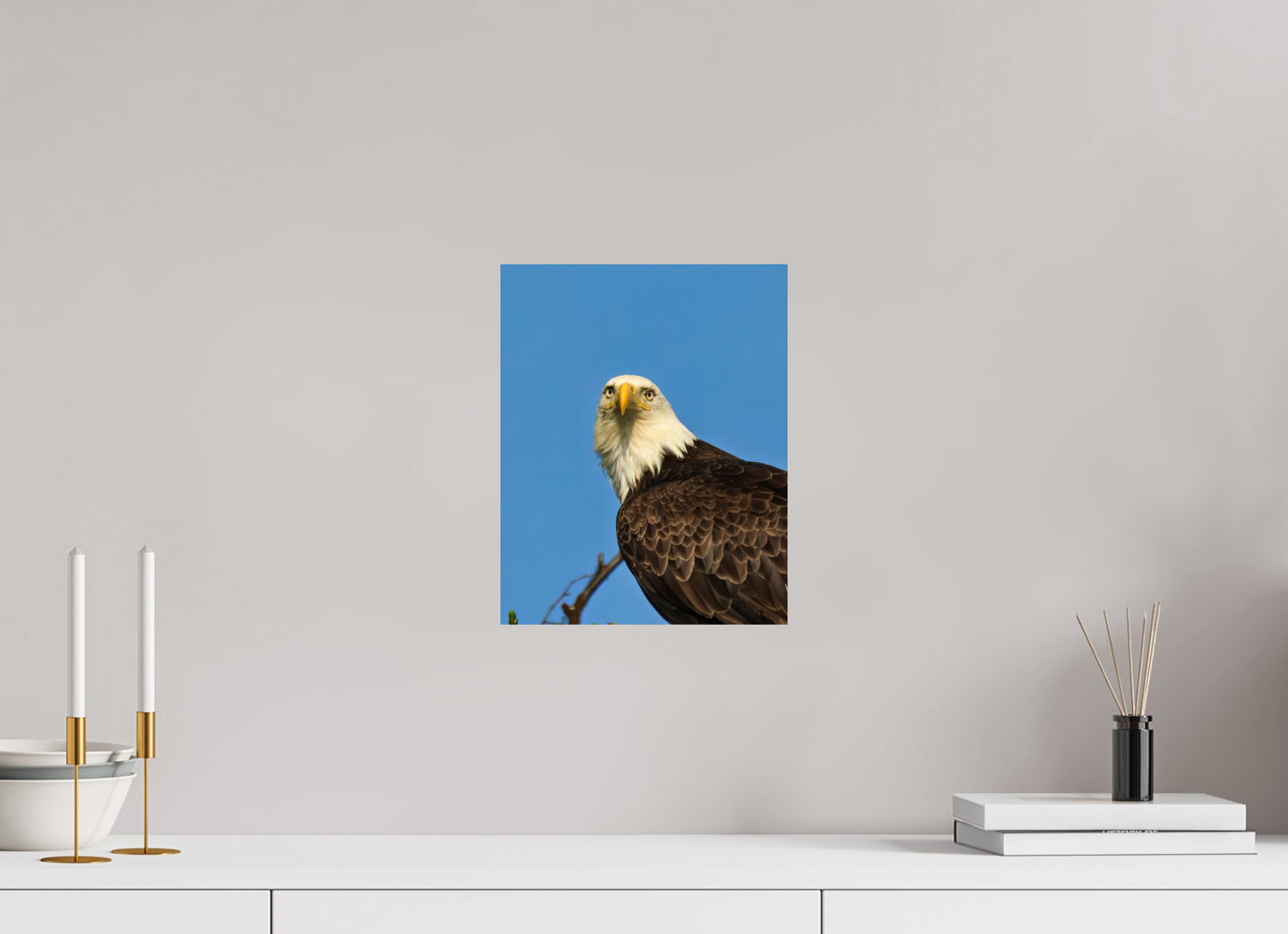 Eyes of the Wild – Bald Eagle in Alaska’s Wilderness Nature Photography Print