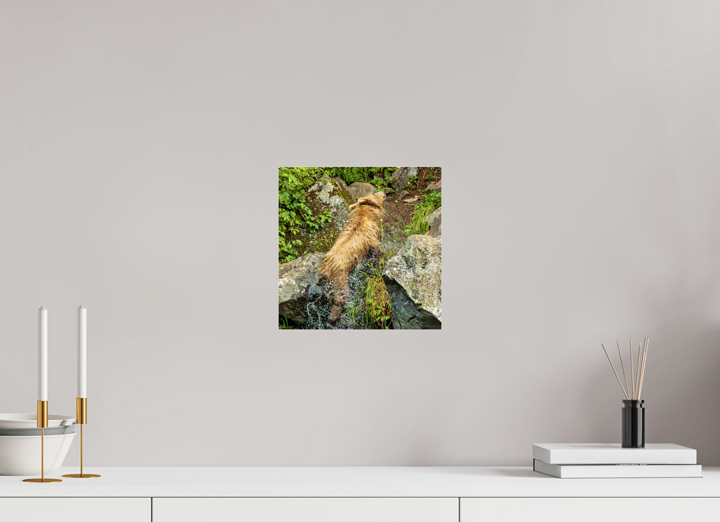The Shake Nature Photography Print