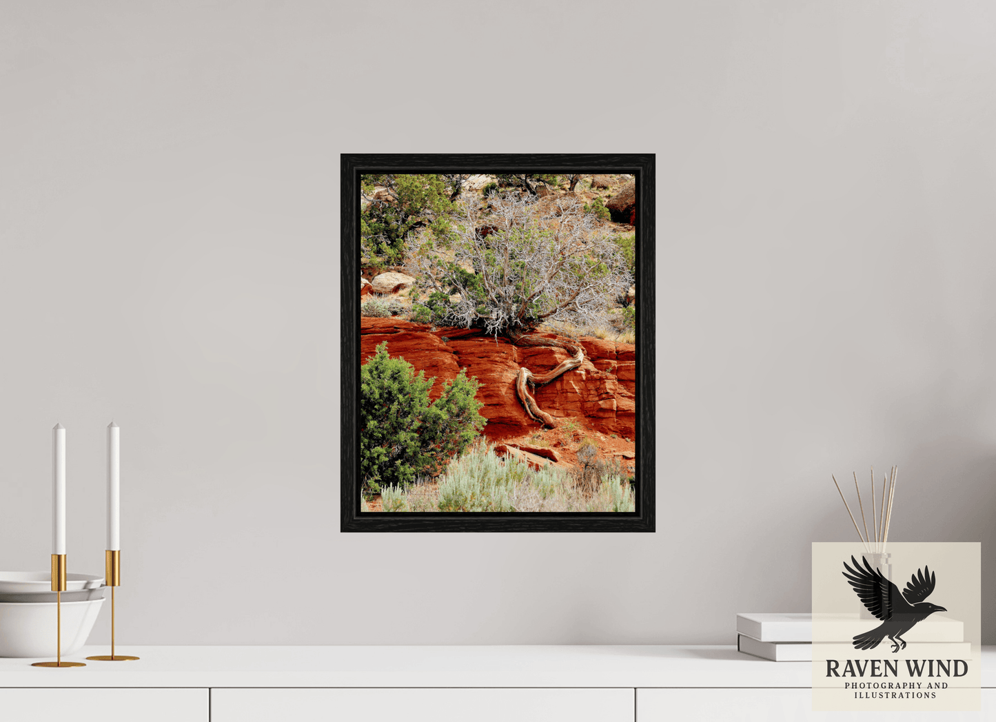 12 x 14.8″, Floater Frame - black oak frame - ready to hang Resilient Roots Nature Photography Print