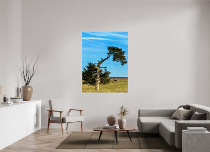 45 x 60″, ChromaLuxe HD Metal Print - ready to hang Still Standing and Reaching for the Sky Nature Photography Print