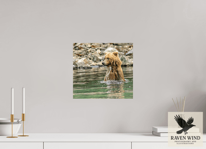 12.9 x 12″, Fine Art Print on Pear Texture - unframed (email for frame options) Missed the Catch - but not the moment! Nature Photography Print