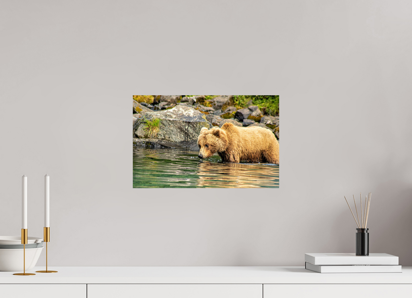 Wild Focus Nature Photography Print