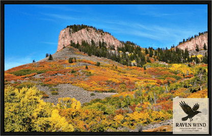 Main image Blue Mesa Point - Autumn's Bold Brushstroke Nature Photography Print