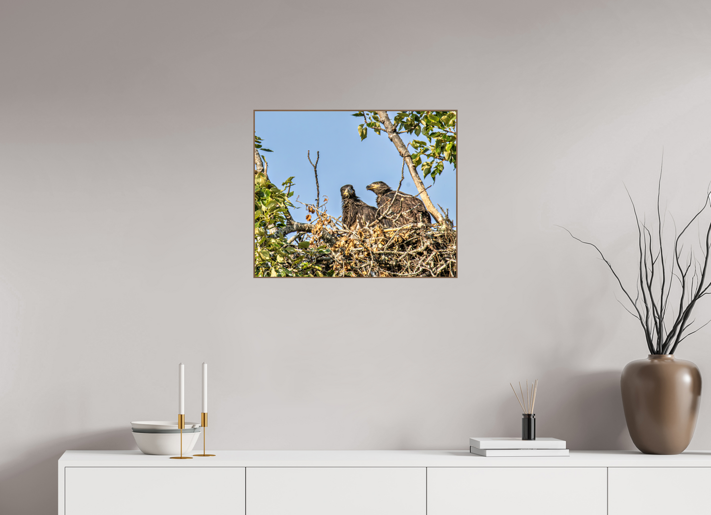 Nestmates – Young Eagles in a Woodland Home – Nature Photography Print