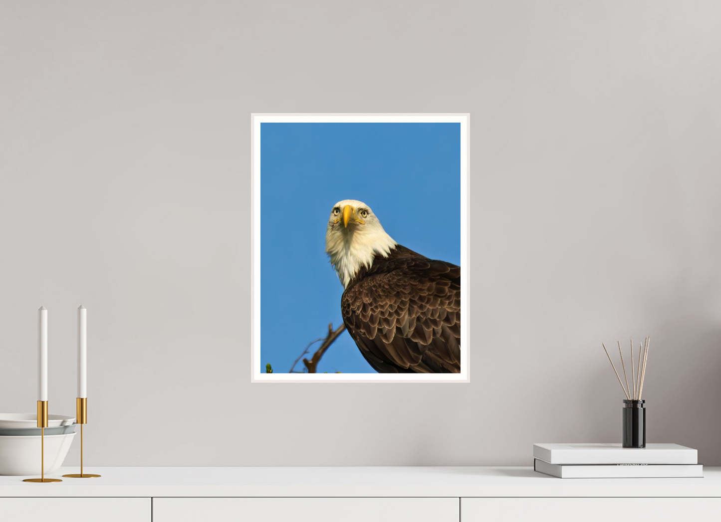 Eyes of the Wild – Bald Eagle in Alaska’s Wilderness Nature Photography Print