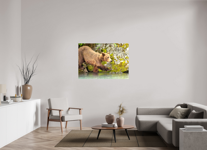 Momma on a Mission Nature Photography Print