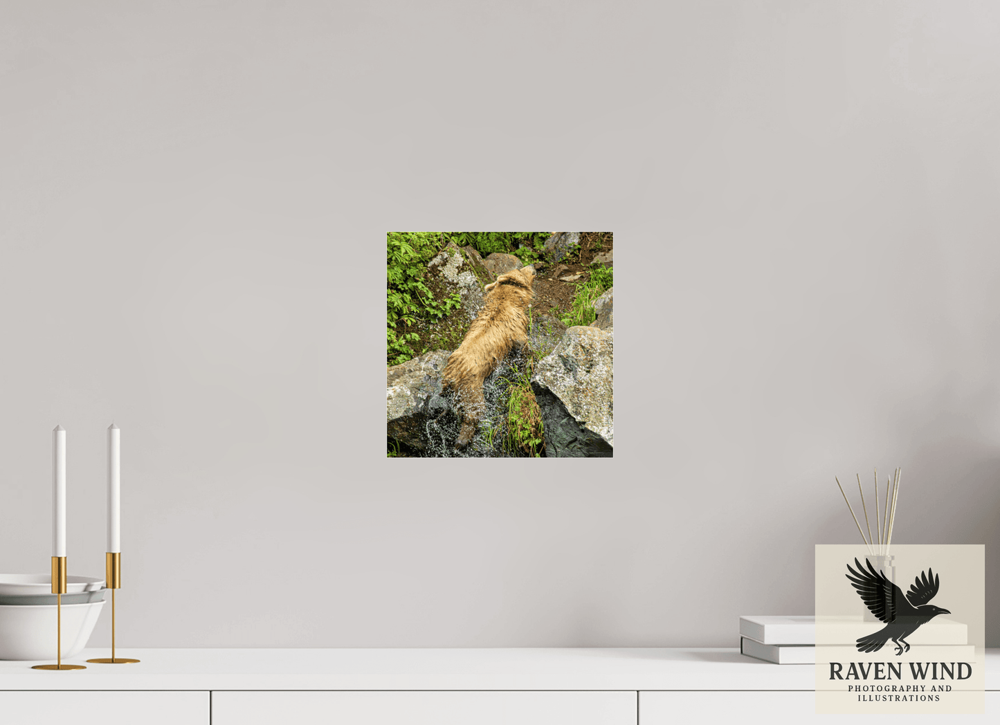 10 x 10″, Photo Print Under Acrylic Glass - ready to hang The Shake Nature Photography Print