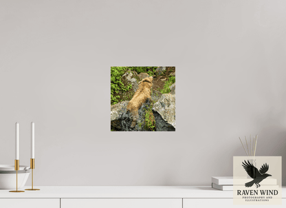 10 x 10″, Photo Print Under Acrylic Glass - ready to hang The Shake Nature Photography Print