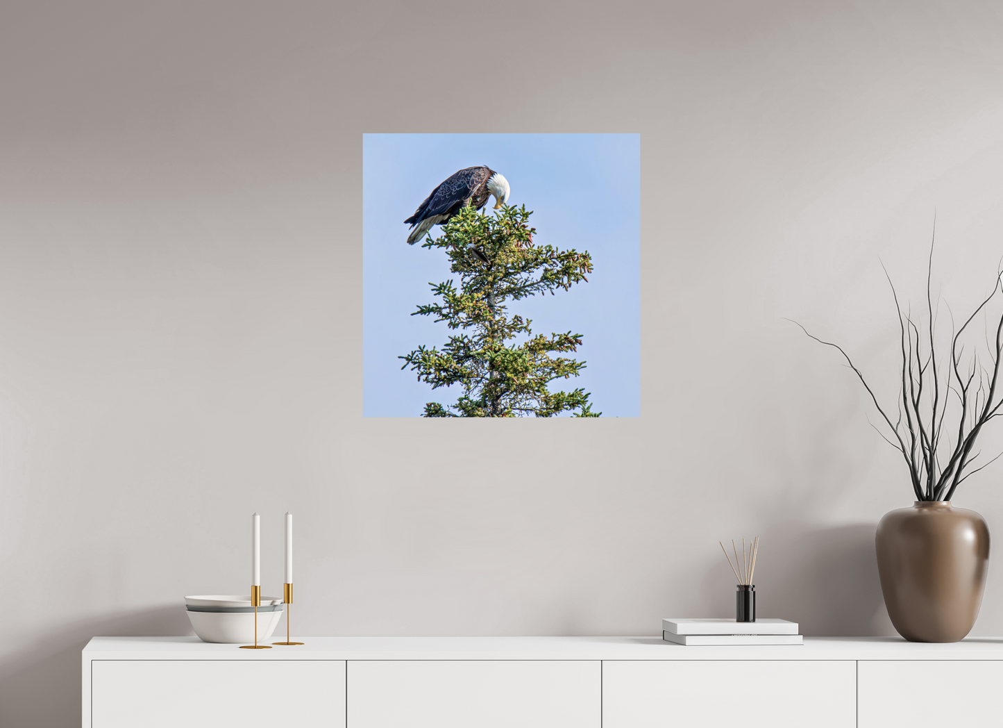 Silent Sentinel – Bald Eagle in Alaska’s Pines Nature Photography Print