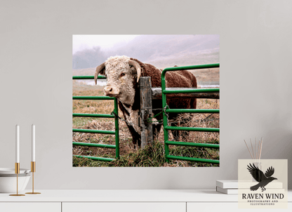 22.2 x 20″, Fine Art Print on Pearl Texture - unframed (email for framing options) The Honor System Nature Photography Print