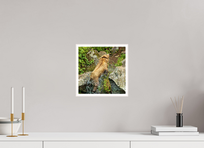 The Shake Nature Photography Print
