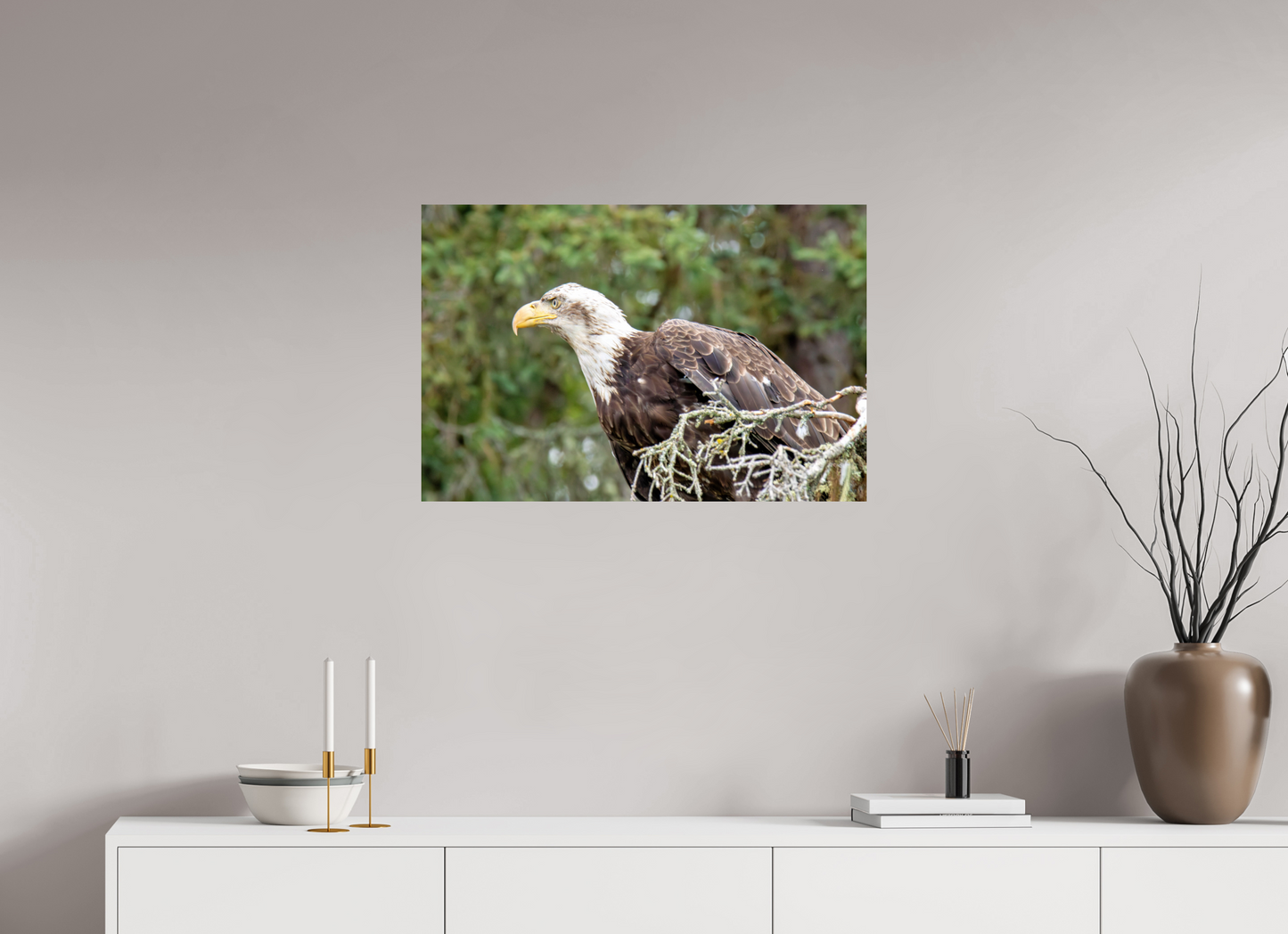 Majestic Watch – Bald Eagle on the Kenai Peninsula Nature Photography Print