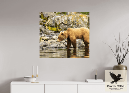 33.6 x 31″, ChromaLuxe HD Metal Print - ready to hang Looking for Dinner Nature Photography Print