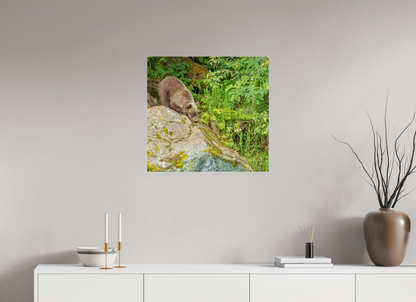 Learning the Ropes Nature Photography Print