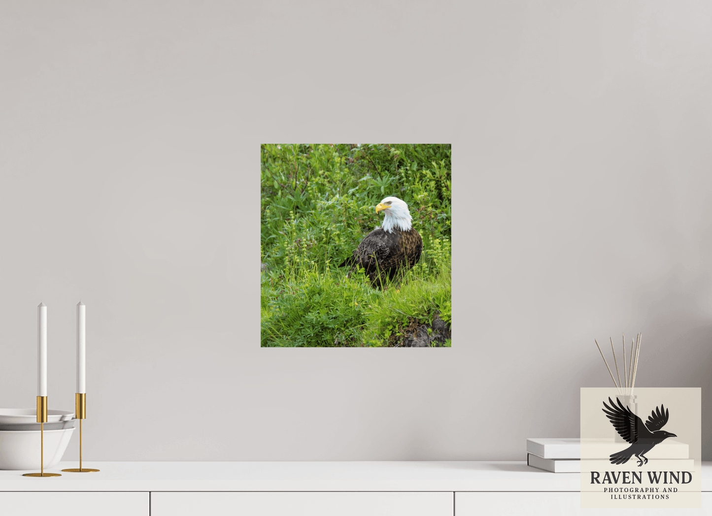12 x 12.8″, Photo Print On Fuji Crystal DP II - unframed Grounded Majesty - Alaskan Bald Eagle Nature Photography Print