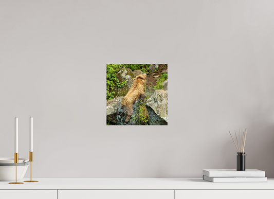 The Shake Nature Photography Print