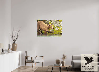39.8 x 28″, Print on Canvas - ready to hang or set on a shelf Momma on a Mission Nature Photography Print