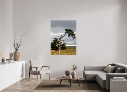 42 x 56″, ChromaLuxe HD Metal Print - ready to hang The Cedar That Weathered It All Nature Photography Print