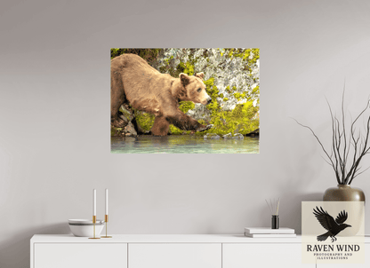 34.1 x 24″, Print on Canvas - ready to hang or set on a shelf Momma on a Mission Nature Photography Print