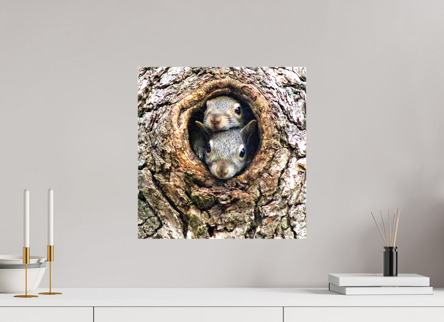 Curious Peek Nature Photography Print