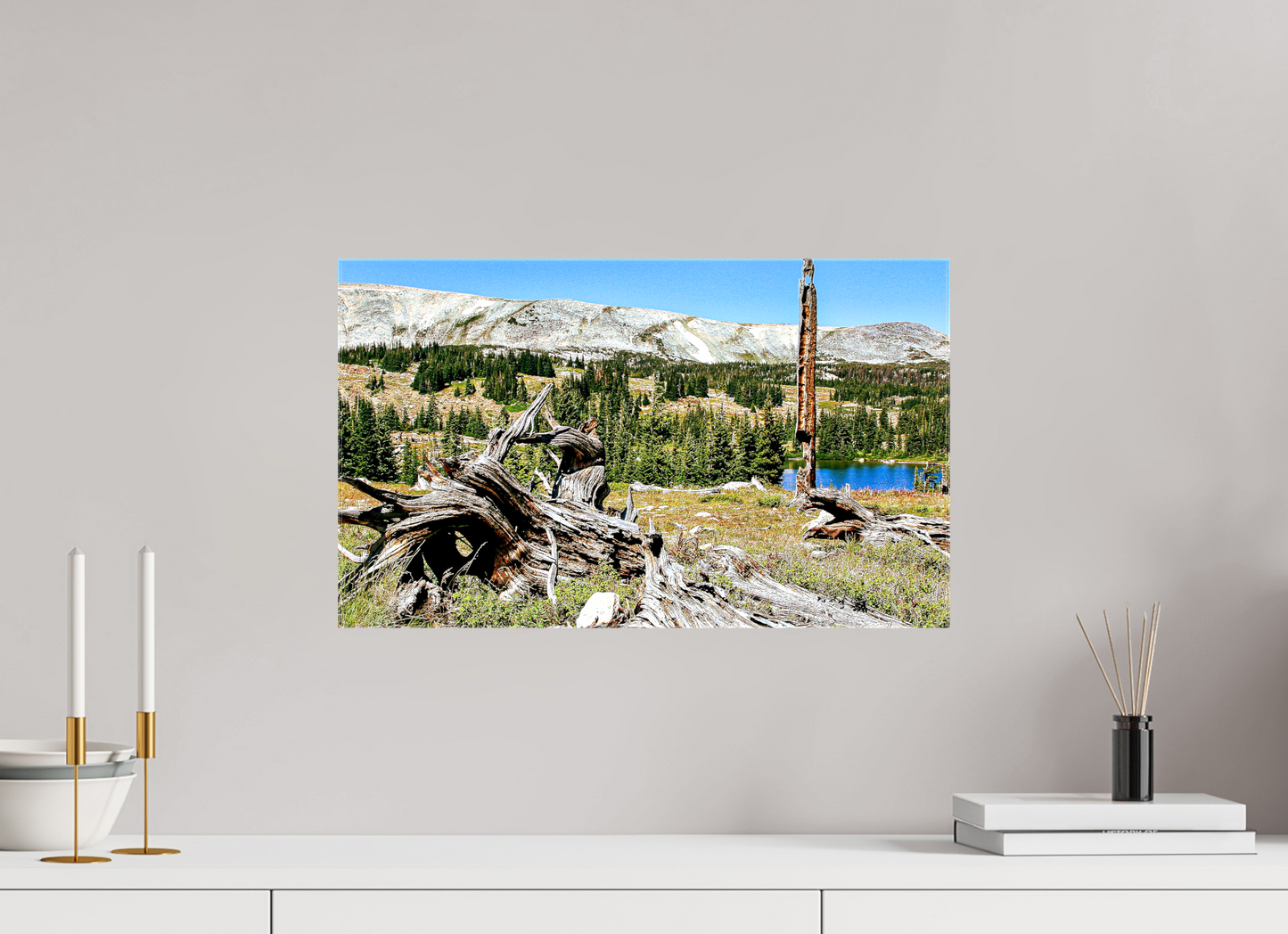 Standing Bear Tree – Bear Lake, Colorado