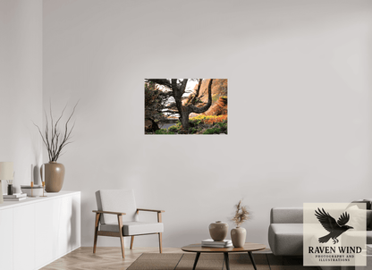 36 x 24″, Print on Canvas - ready to hang or set on a shelf Sunset Glow Fine Art Nature Photography Print