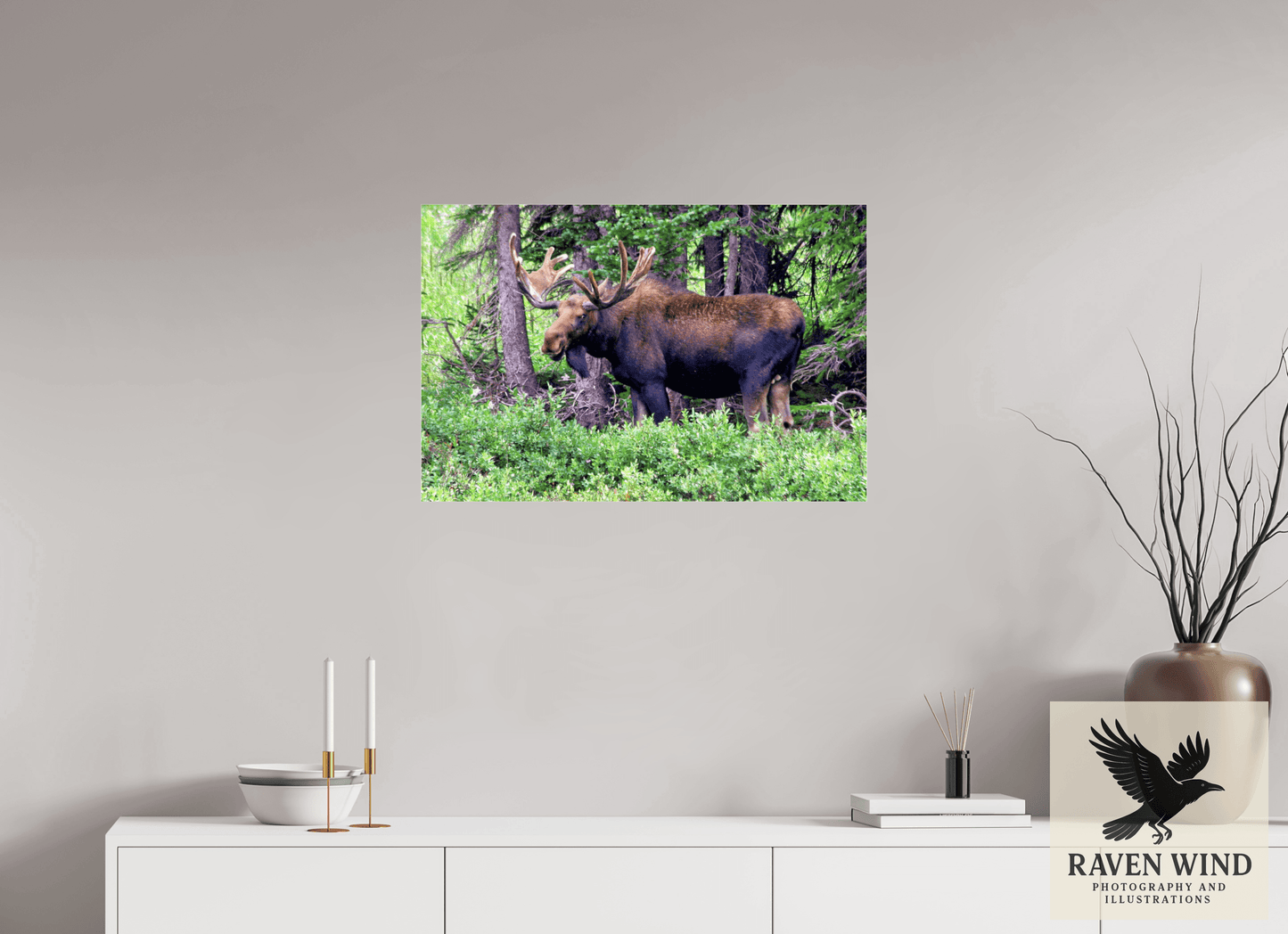 30 x 20″, Photo Print Under Acrylic Glass - ready to hang Watchful Moose Nature Photography Print