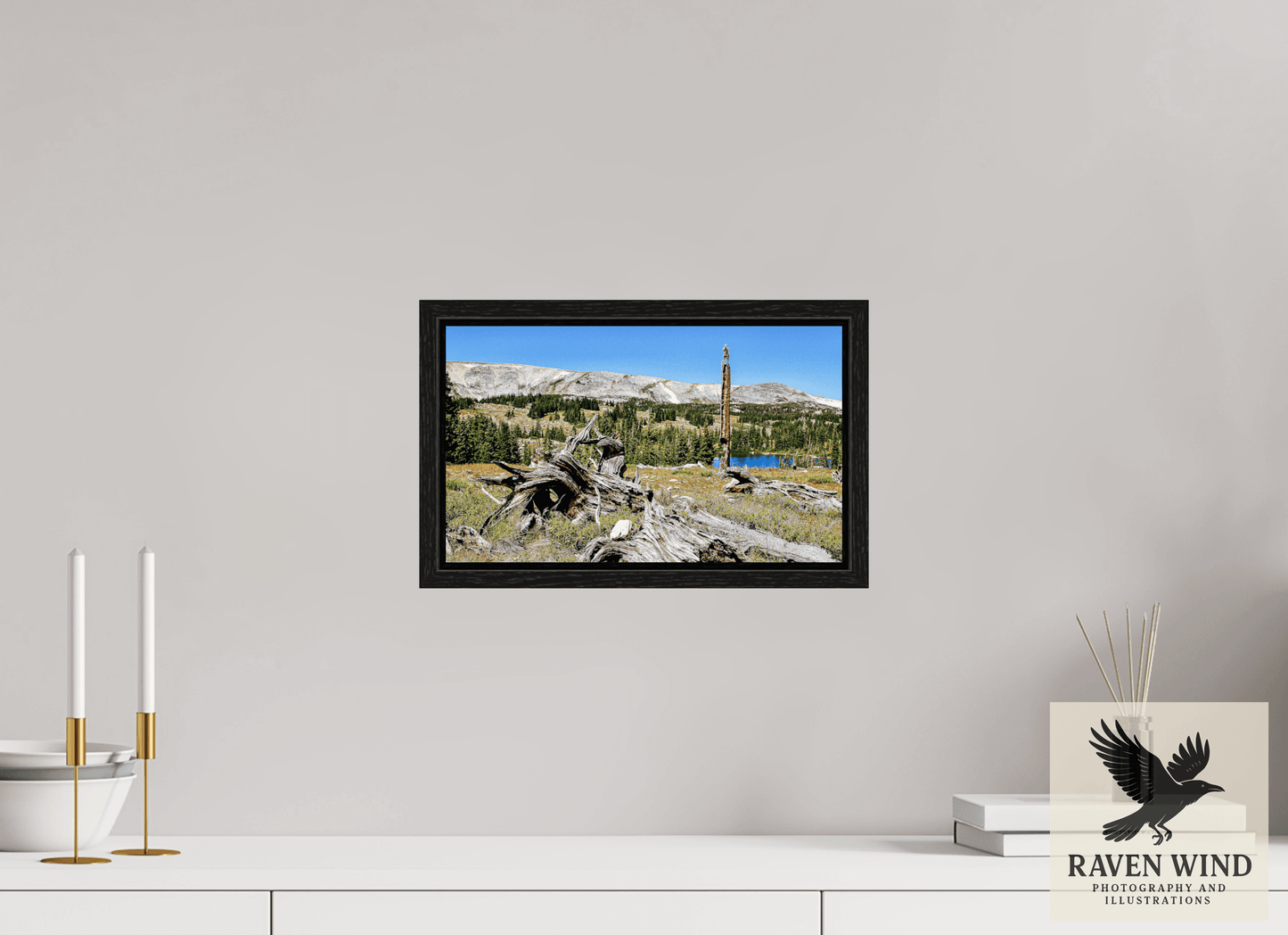 13.4 x 8″, Floater Frame -black oak frame - ready to hang Standing Bear Tree - Bear Lake, Colorado Nature Photography Print