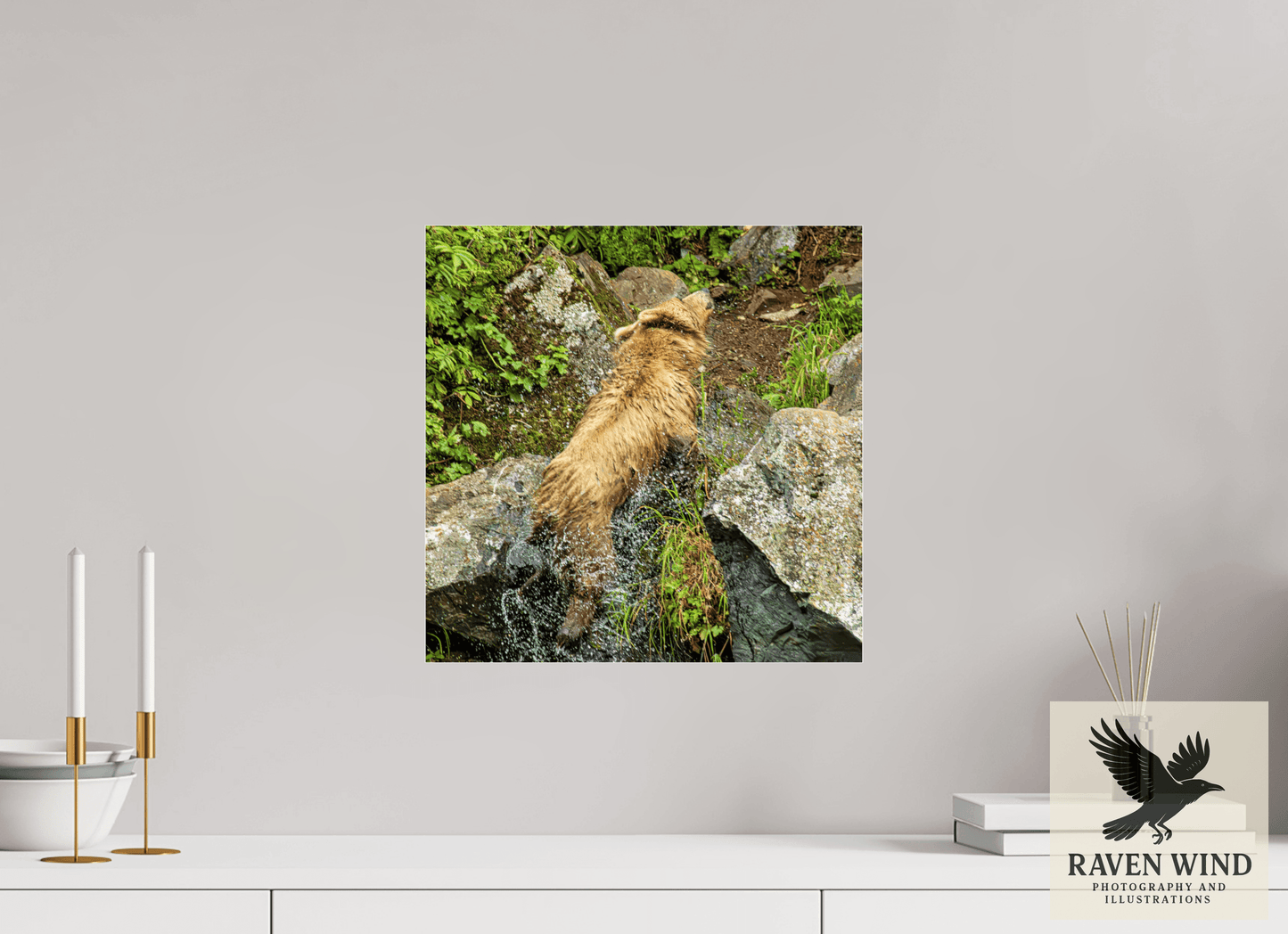 15 x 15″, Photo Print Under Acrylic Glass - ready to hang The Shake Nature Photography Print