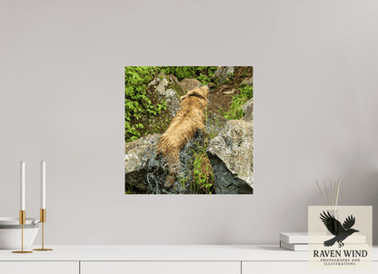 15 x 15″, Photo Print Under Acrylic Glass - ready to hang The Shake Nature Photography Print