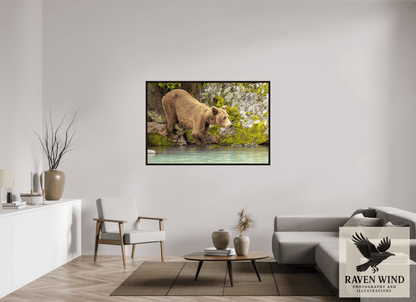 60 x 40″, Floater Frame - black oak frame - ready to hang Testing the Waters Nature Photography Print