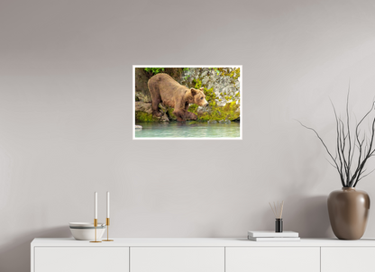 Testing the Waters Nature Photography Print