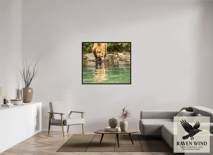 46 x 39″, Floater Frame - black oak frame - ready to hang A Closer Look Nature Photography Print