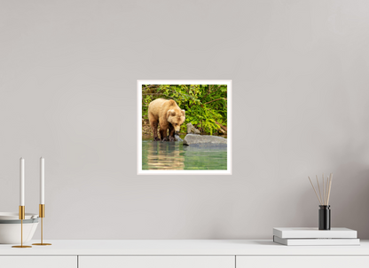 That's a miss! Nature Photography Print